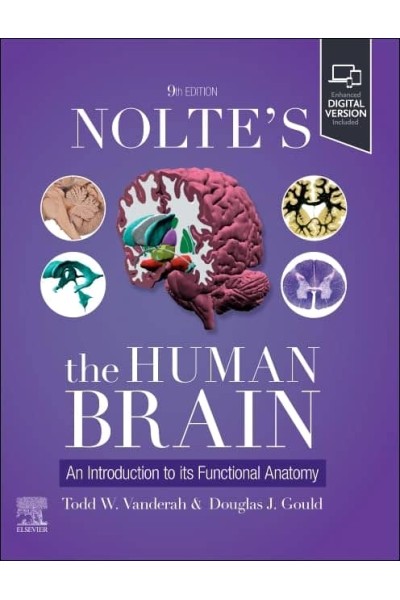 NOLTE´S THE HUMAN BRAIN