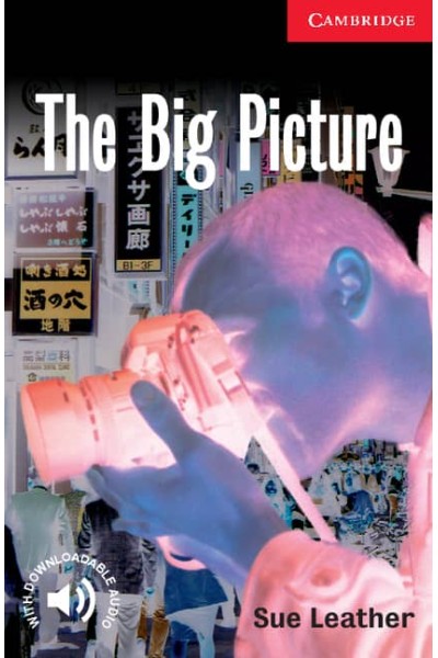 THE BIG PICTURE