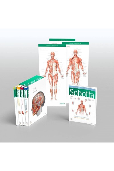 SOBOTTA ATLAS OF ANATOMY