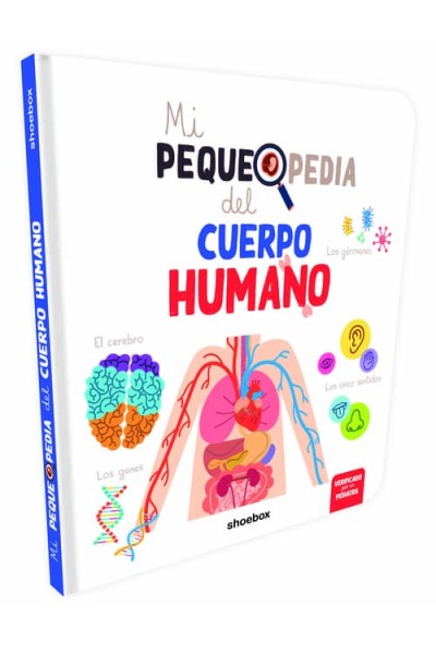 CUERPO HUMANO