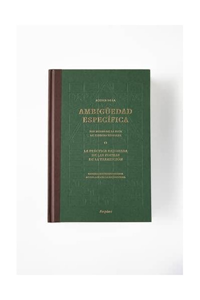 ACERCA DE AMBIGUEDAD ESPECIFICA POR MEDIO IDEA ESPACIO
