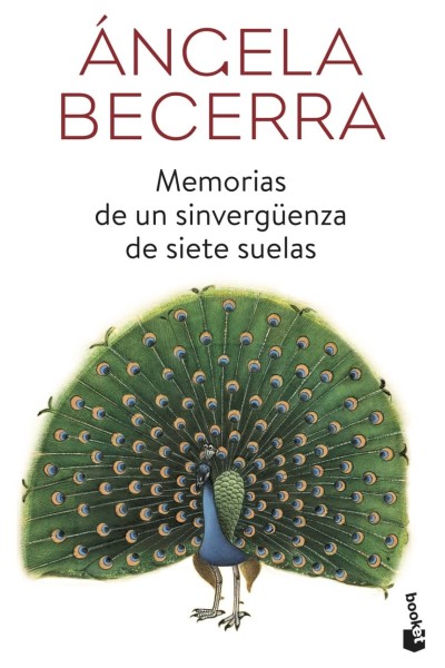 MEMORIAS DE UN SINVERGÜENZA DE SIETE SUELAS