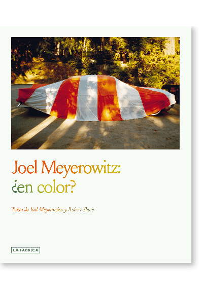 JOEL MEYEROWITZ:¿EN COLOR?