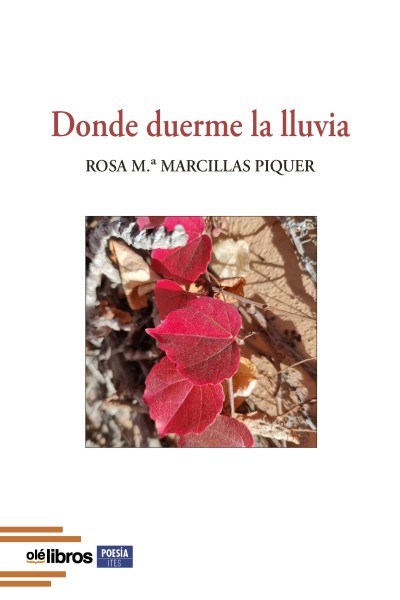 DONDE DUERME LA LLUVIA