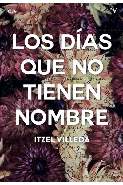 LOS DIAS QUE NO TIENEN NOMBRE