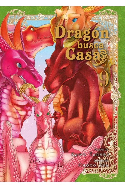 DRAGÓN BUSCA CASA