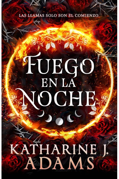 FUEGO EN LA NOCHE