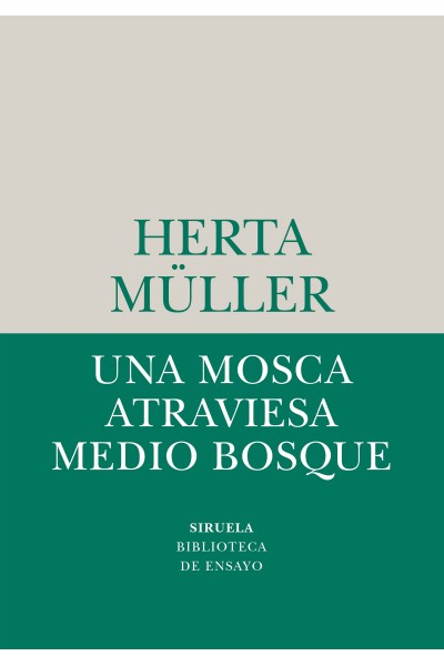UNA MOSCA ATRAVIESA MEDIO BOSQUE