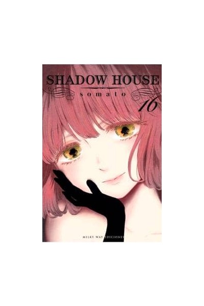 SHADOW HOUSE N 16