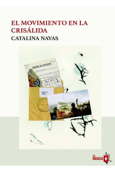 EL MOVIMIENTO EN LA CRISÁLIDA