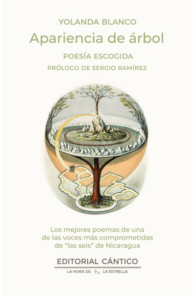 APARIENCIA DE ÁRBOL