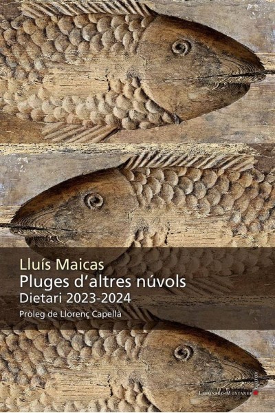 PLUGES D'ALTRES NUVOLS