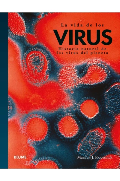 LA VIDA DE LOS VIRUS