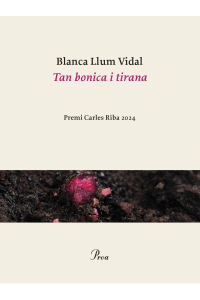 TAN BONICA I TIRANA
