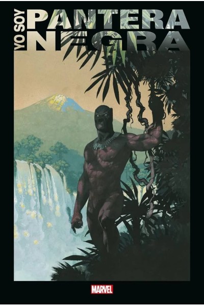 YO SOY PANTERA NEGRA