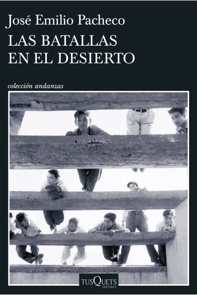 LAS BATALLAS EN EL DESIERTO