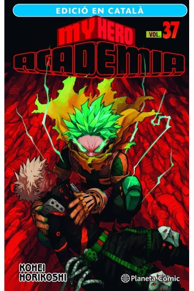 MY HERO ACADEMIA 37