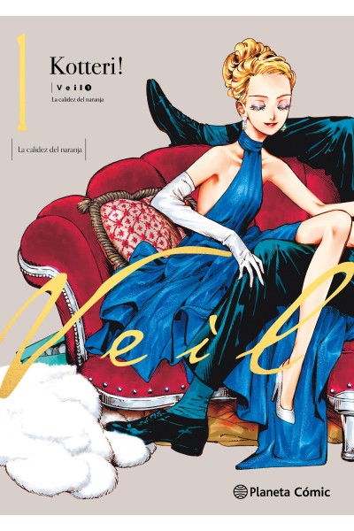 VEIL Nº 01