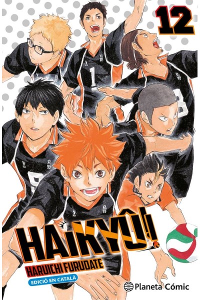 HAIKYU 12