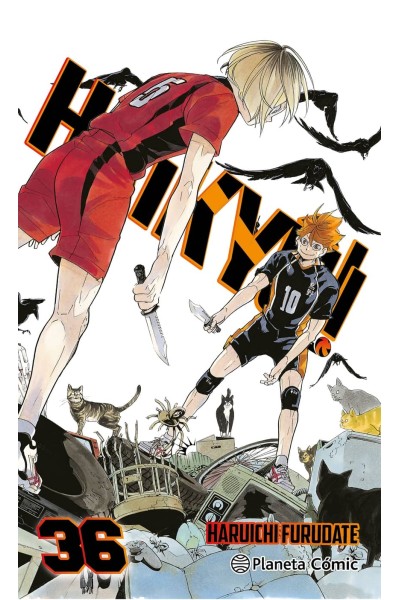 HAIKYÛ!! Nº 36/45