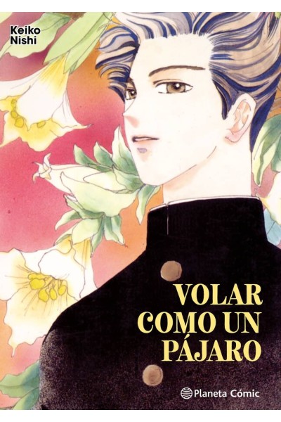 VOLAR COMO UN PÁJARO