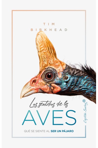 LOS SENTIDOS DE LA AVES