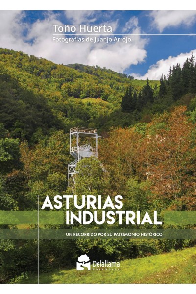 ASTURIAS INDUSTRIAL