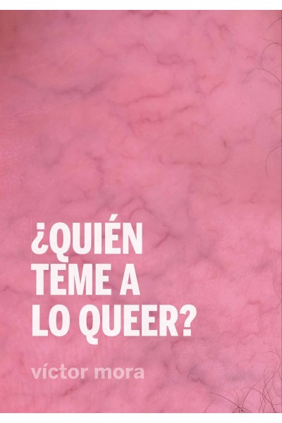 ¿QUIÉN TEME A LO QUEER?