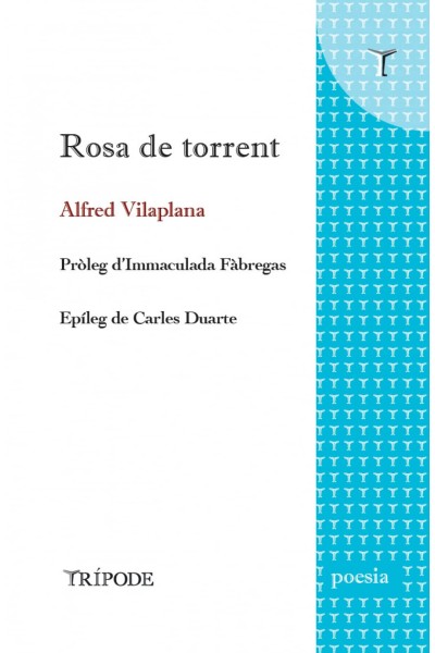 ROSA DE TORRENT