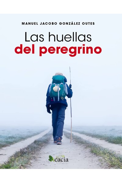 LAS HUELLAS DEL PEREGRINO