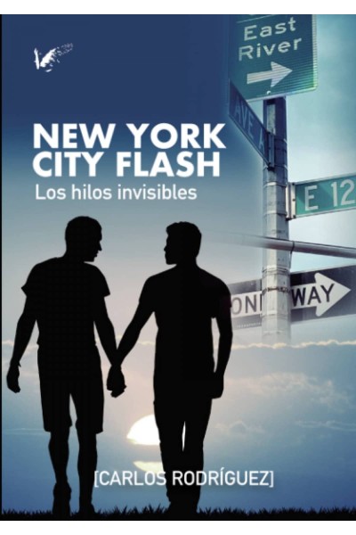 NEW YORK CITY FLASH