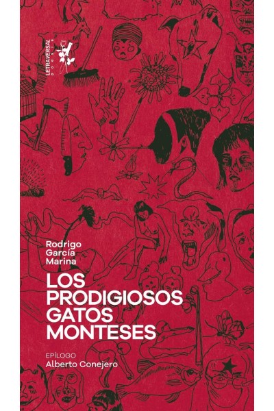 LOS PRODIGIOSOS GATOS MONTESES