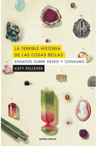 TERRIBLE HISTORIA DE LAS COSAS BELLAS,LA