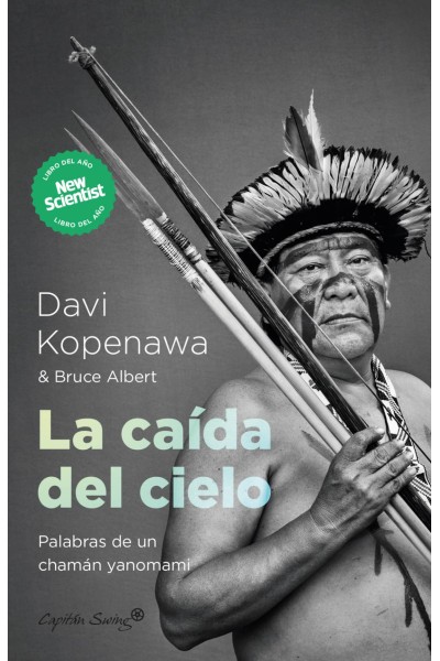 CAIDA DEL CIELO, LA