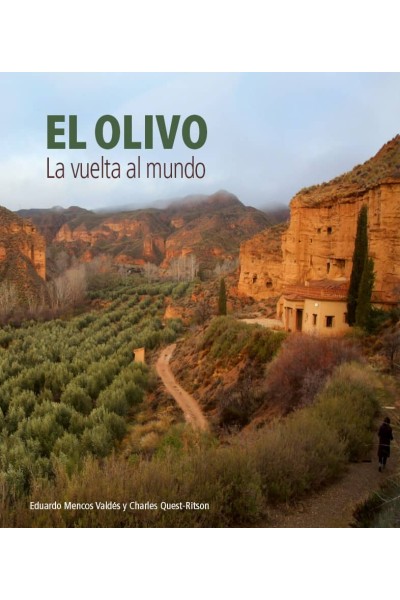 EL OLIVO.