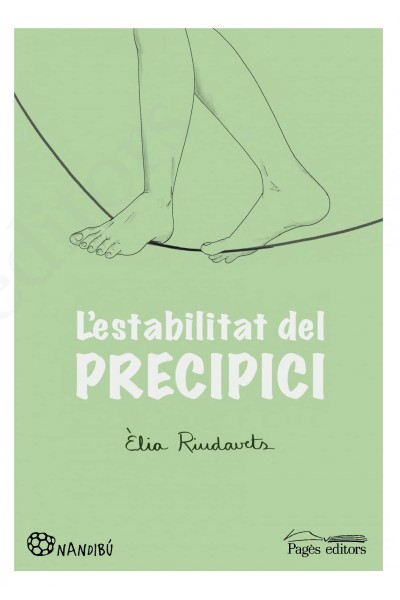 L'ESTABILITAT DEL PRECIPICI