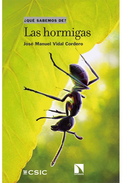 LAS HORMIGAS