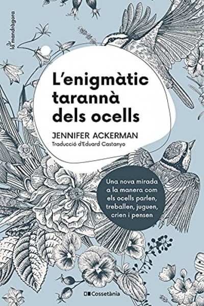 L'ENIGMÀTIC TARANNÀ DELS OCELLS