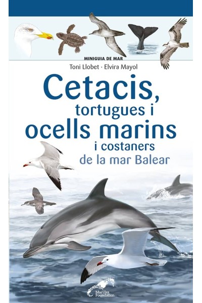 CETACIS, TORTUGUES I OCELLS MARINS I COSTANERS DE LA MAR BALEAR