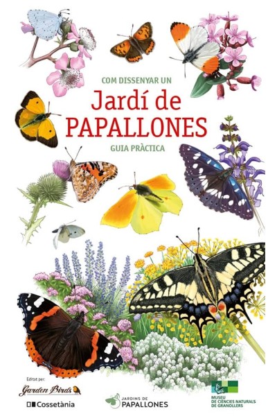 COM DISSENYAR UN JRDI DE PAPALLONES:GUIA PRACTICA3