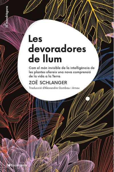 LES DEVORADORES DE LLUM