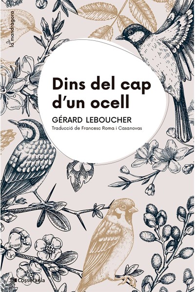 DINS DEL CAP D'UN OCELL