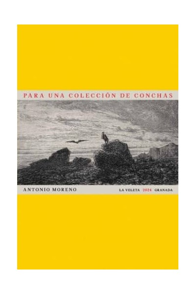 PARA UNA COLECCIÓN DE CONCHAS