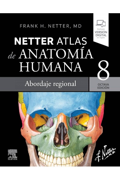 NETTER ATLAS DE ANATOMIA HUMANA ABORDAJE REGIONA