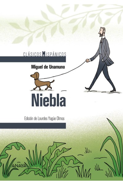 NIEBLA