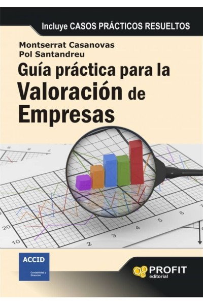 GUIA PRACTICA PARA LA VALORACION DE EMPRESAS