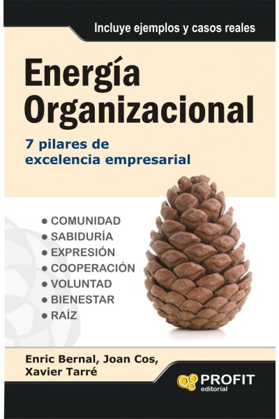 ENERGIA ORGANIZACIONAL