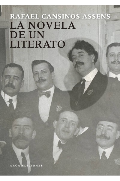 LA NOVELA DE UN LITERATO