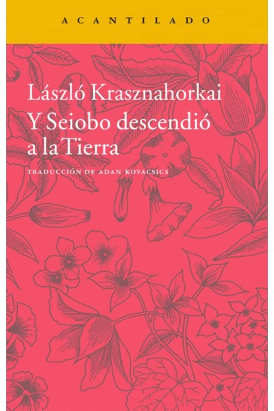 Y SEIOBO DESCENDIO A LA TIERRA
