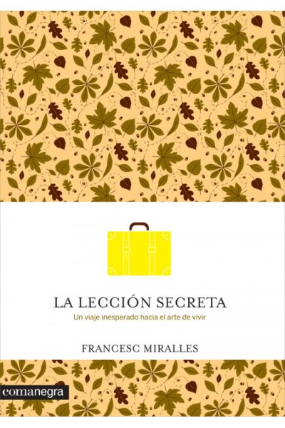 LA LECCIÓN SECRETA